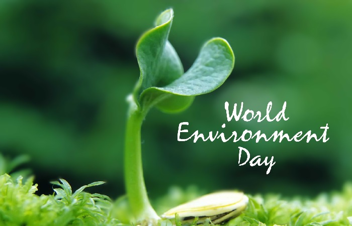 environment day quotes in malayalam