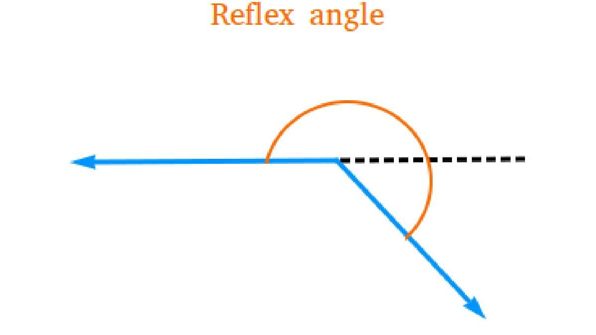 Reflex angle and their components
