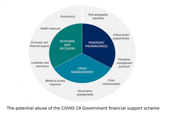 The potential abuse of the COVID-19 Government financial support scheme