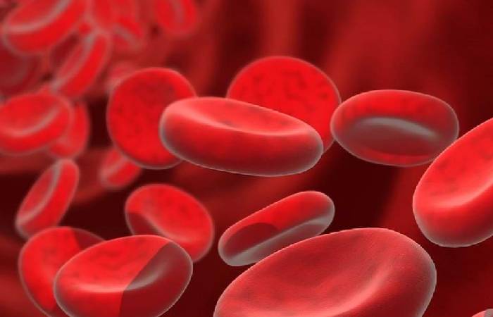 rajkotupdates.news:emm-negative-rare-blood-group-found-in-rajkot-man-11th-such-case-worldwide