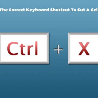 What Is The Correct Keyboard Shortcut To Cut A Cell Value