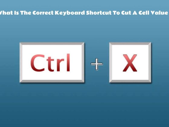 What Is The Correct Keyboard Shortcut To Cut A Cell Value